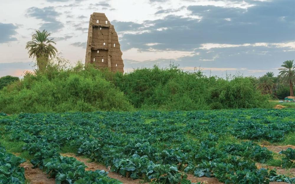 Dd60bbfd c43a 4364 bf27 e815a0091c11 file.jpg