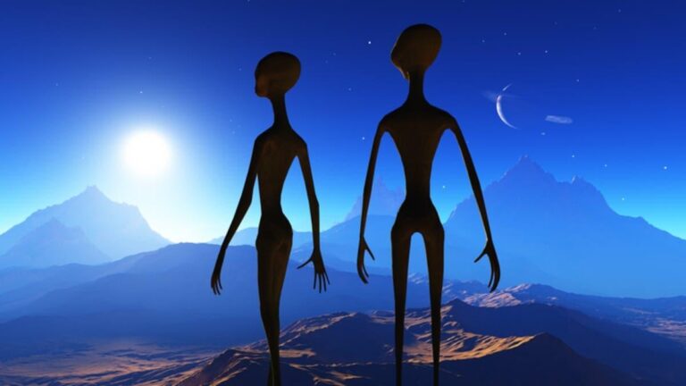 Df10c8b5 2f9b 4a79 94b5 ab7636cc580b file.jpg