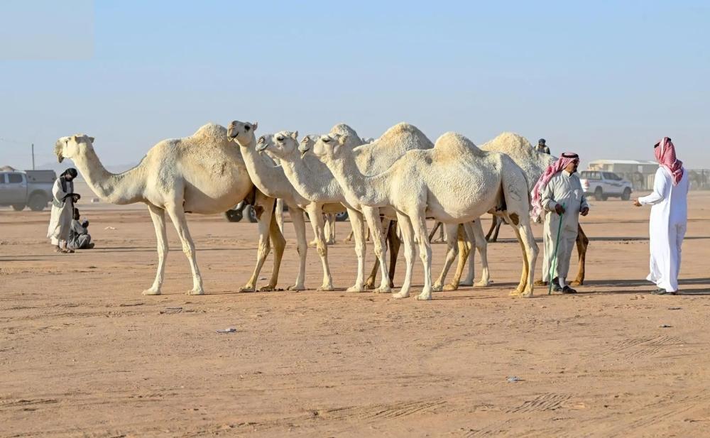 Df89037e aa1a 46df 86d5 86ce9f3eb5d5 file.jpg