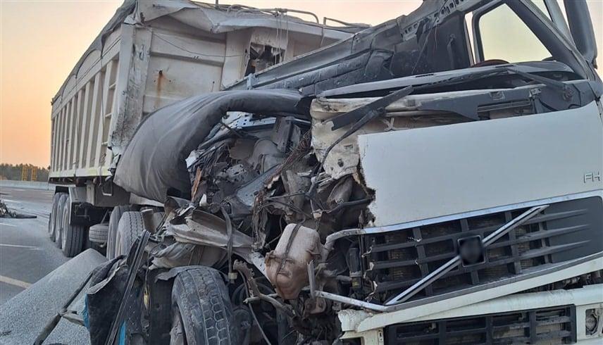 E1b4b49b c8f1 47e5 9001 1729cd033aae file.jpg