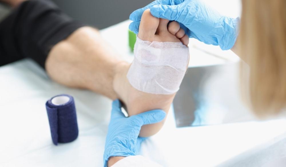 E1ec9885 a7e7 4a14 8829 be0dbb03a9e7 file.jpg