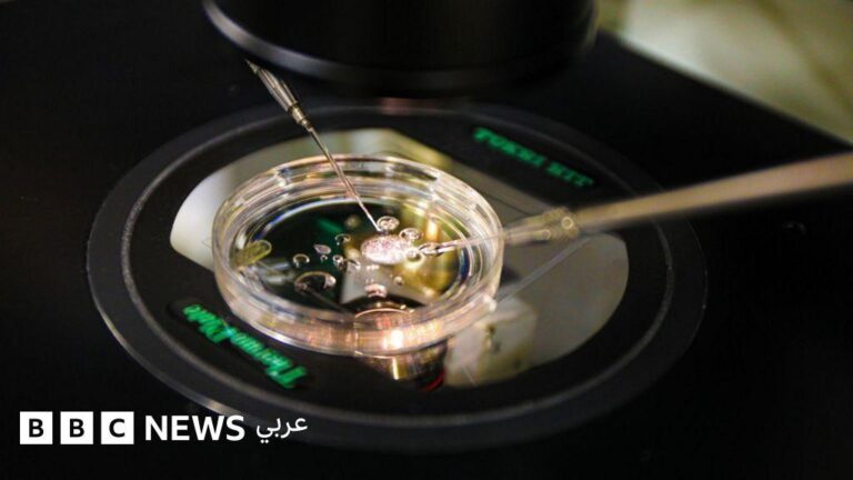 E51c8fd7 fa46 473b ad89 38888f644781 file.jpg