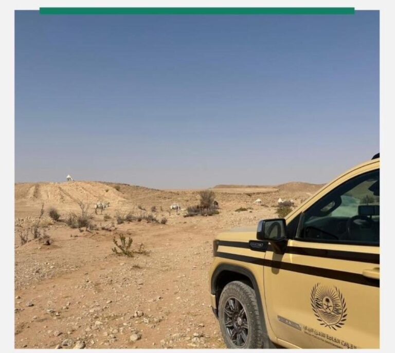 E6c8ffbc 96d0 4232 815d 3d17c084889a file.jpg