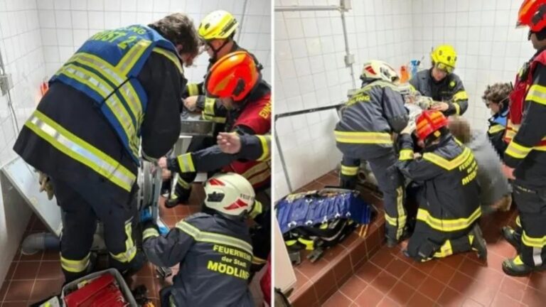 E6f998a9 8db6 4f19 a854 6f5b2cf89f41 file.jpg