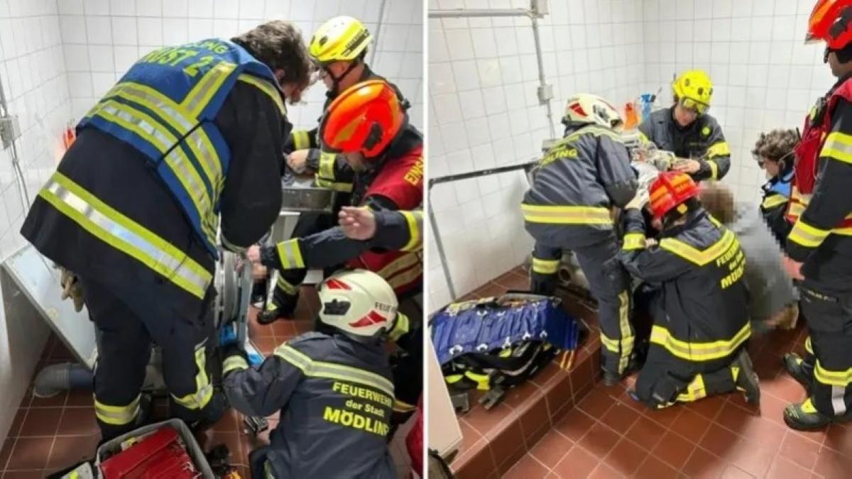 E6f998a9 8db6 4f19 a854 6f5b2cf89f41 file.jpg