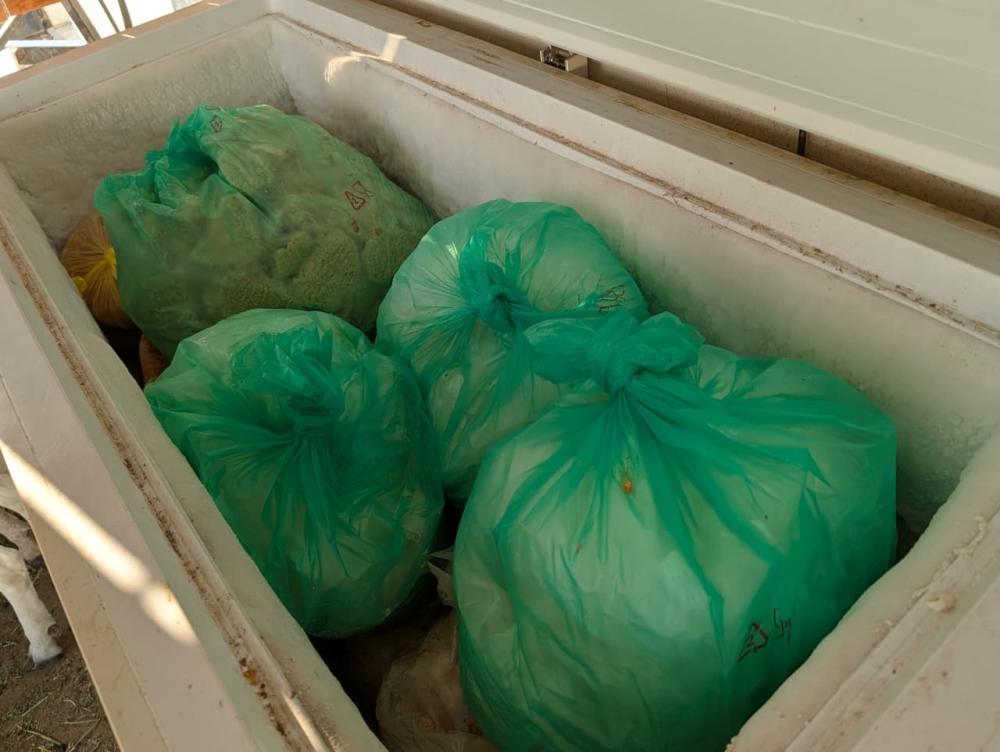 E9b81971 55d7 4156 99fd b81286ad2b51 file.jpg