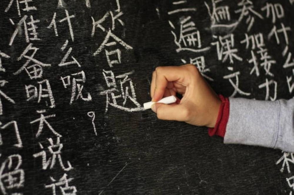 E9b95c04 8ad4 45ef 9336 7bb4b91221e3 file.jpg