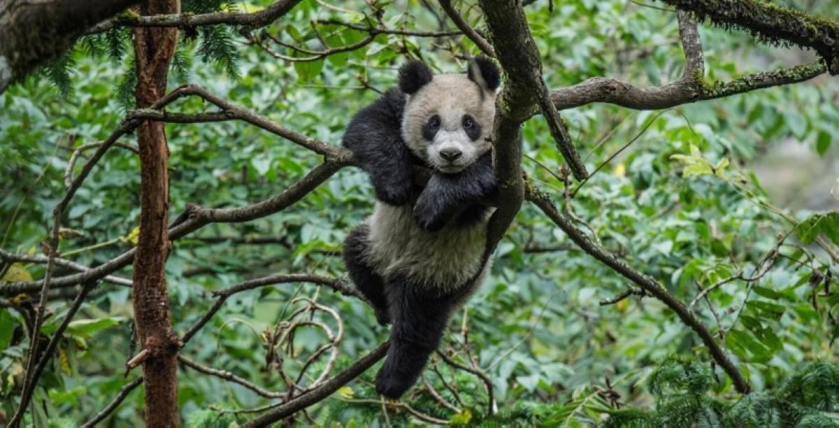 Ed05f493 457d 4696 903e b60c5670f6bd file.jpg