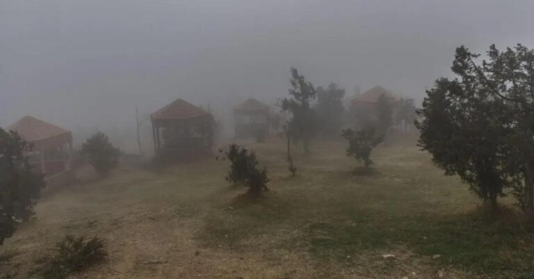 Ee65e2a6 521d 4170 ac87 c3a1cf991b6f file.jpg