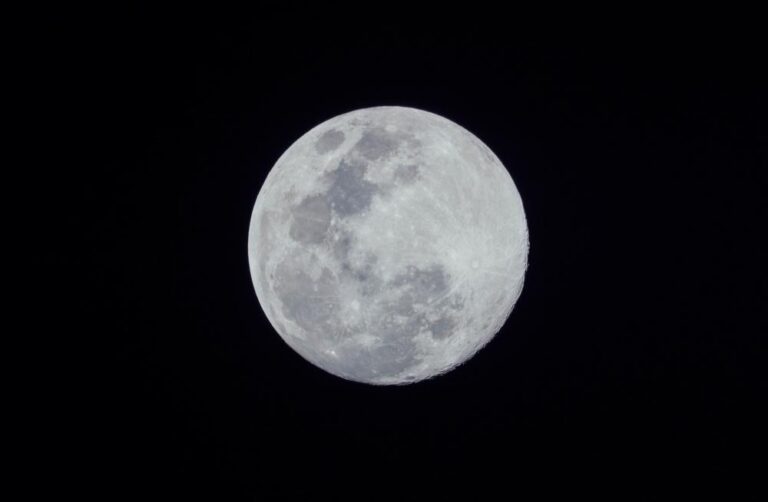 F241ba9d 2636 4686 8e06 da388b8e004c file.jpg