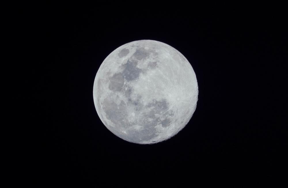 F241ba9d 2636 4686 8e06 da388b8e004c file.jpg