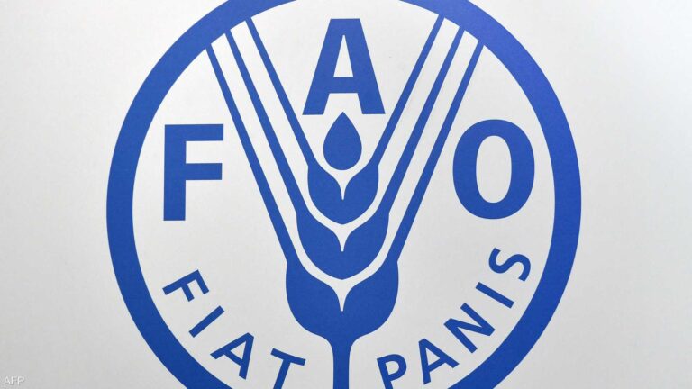 F5bfc66a d408 47a3 b039 b7a754f339d1 file.jpeg