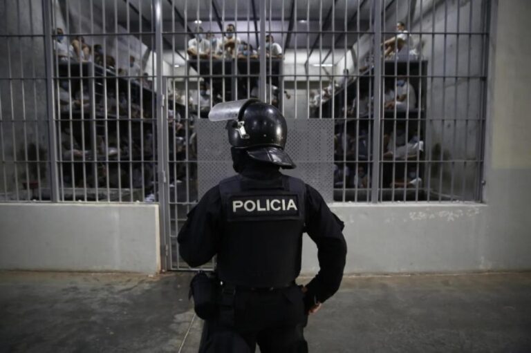 F7500bc8 9552 43d1 a007 6048096db9fa file.jpg