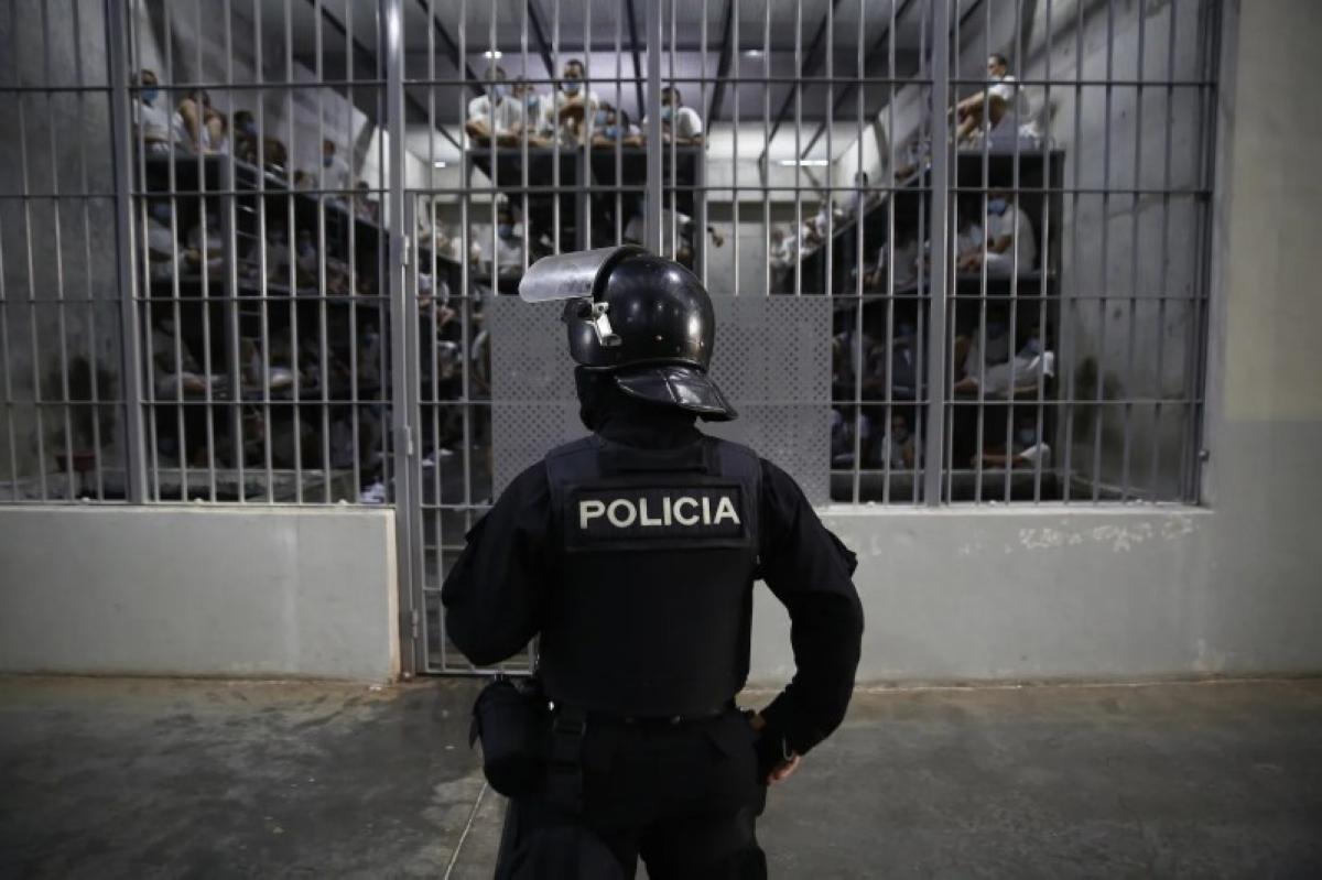 F7500bc8 9552 43d1 a007 6048096db9fa file.jpg