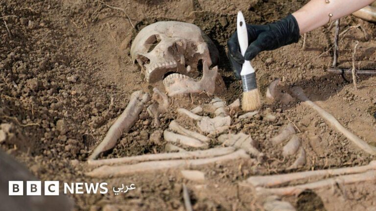 Fa8326b9 23b3 48c4 b9e5 5914ff7c9bb7 file.jpg