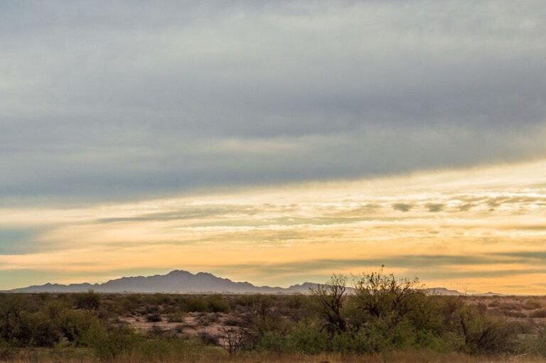 Fb3cf048 4cdd 49e2 9f1a ef7f18757084 file.jpg