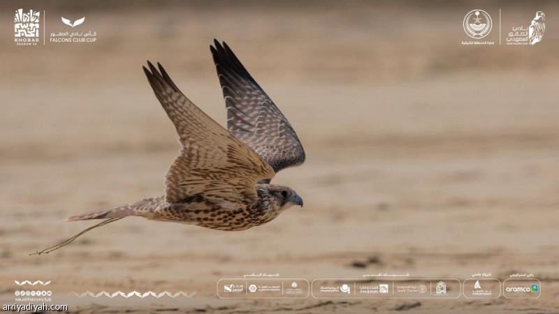 0040d711 f847 429f bec9 d7e6b085c249 file.jpg