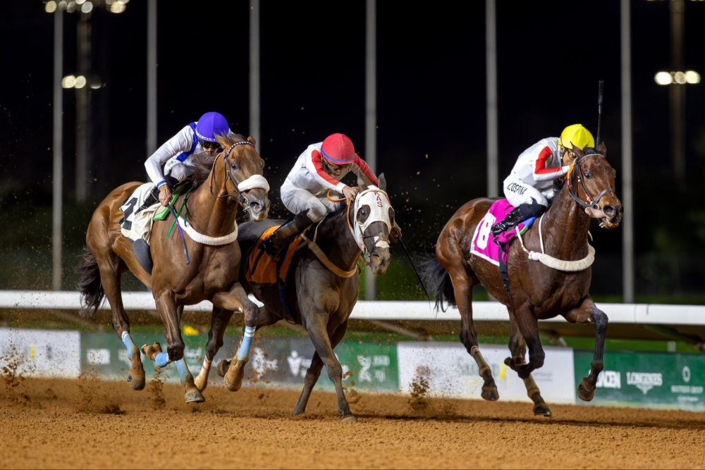 برعاية أمير الرياض.. نادي سباقات الخيل ينظم بطولة كأس الوفاء