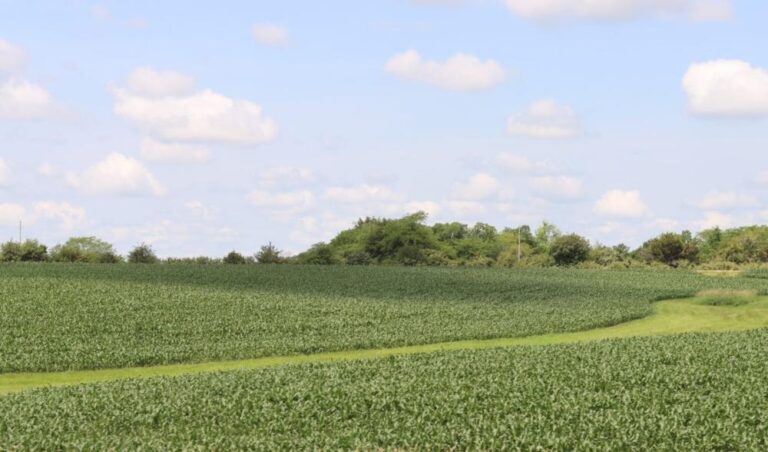 029ef5b6 e3d6 486e 98c9 911e0ed75d6c file.jpg