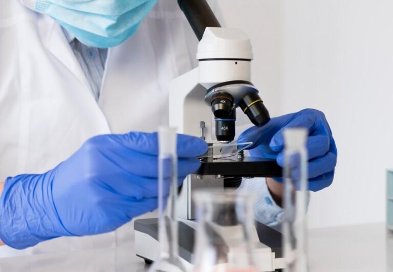 034ed5ca 57ff 408e 88fb ebc74ab4d5e0 file.jpg