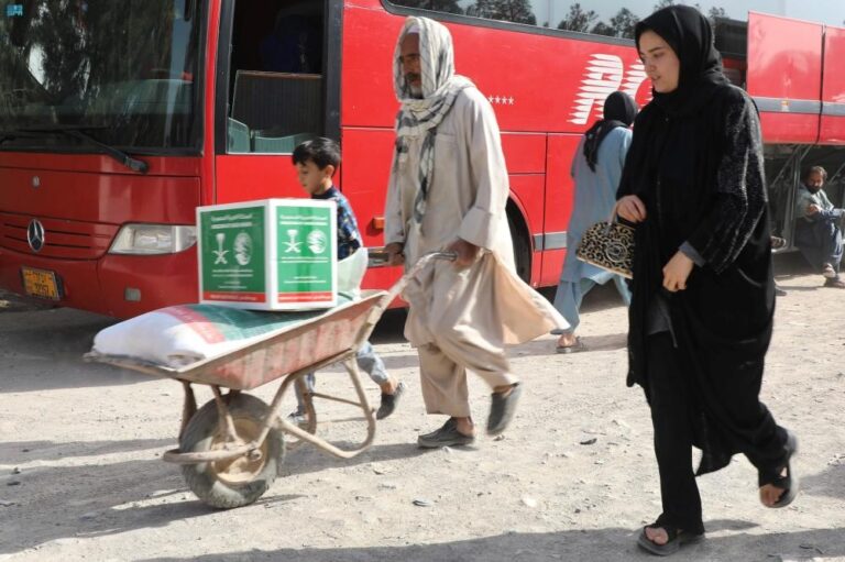 03bc724b 1216 4c91 8b13 df8576585072 file.jpg