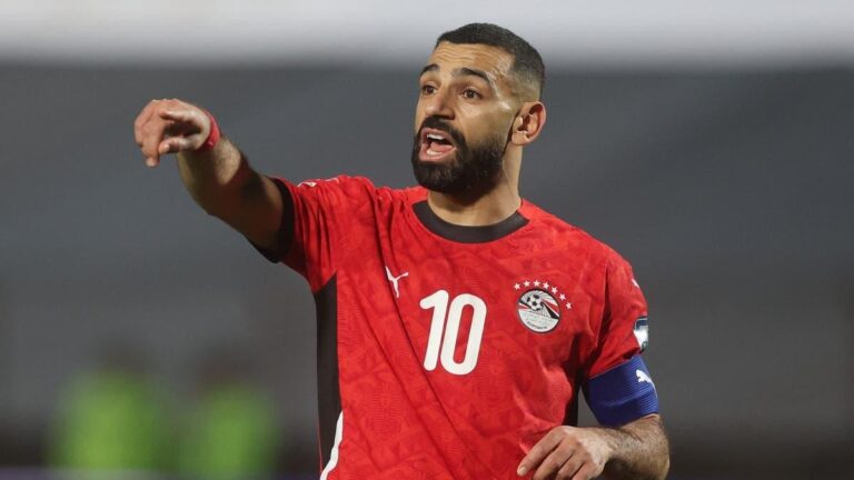 03dca519 0f79 4470 8fbb e2090cddc398 file.jpg