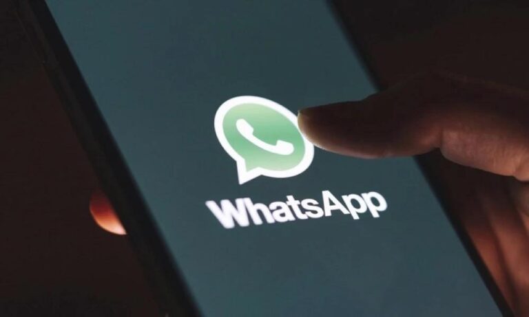 04683727 369e 482f aeee a7d0ef630b39 file.jpg