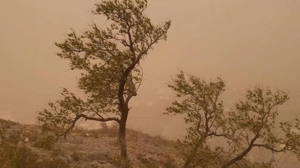 0b68a0f3 8aba 49e9 8154 b56760100ae9 file.jpg