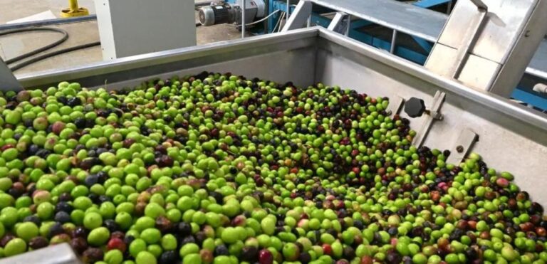 0c82deec 75c7 490d a80f b7df7442eae8 file.jpg