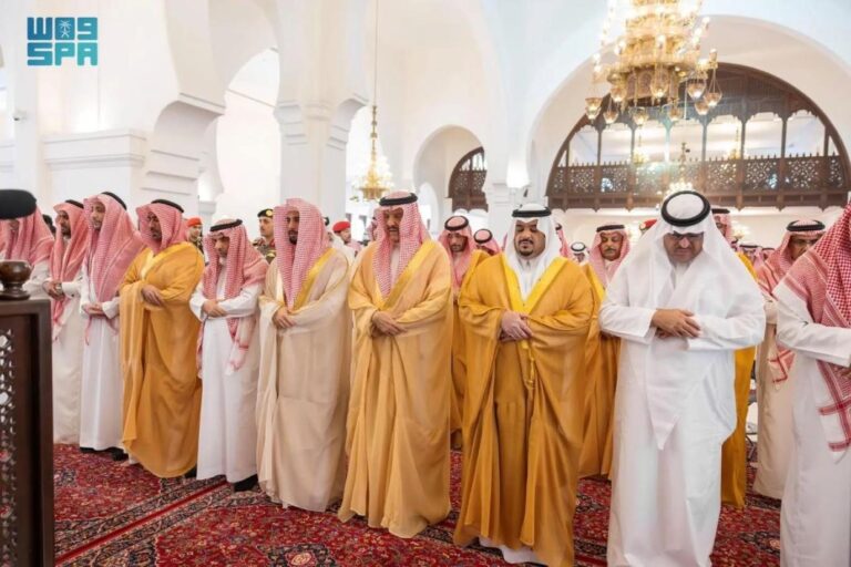 0e69ad77 d5c1 4a84 aaba d32985c8e24b file.jpg