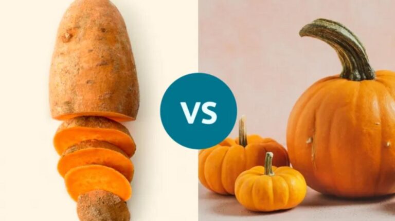 10702b3e 752c 46b1 9f4d e8296ea7f1b8 file.jpg