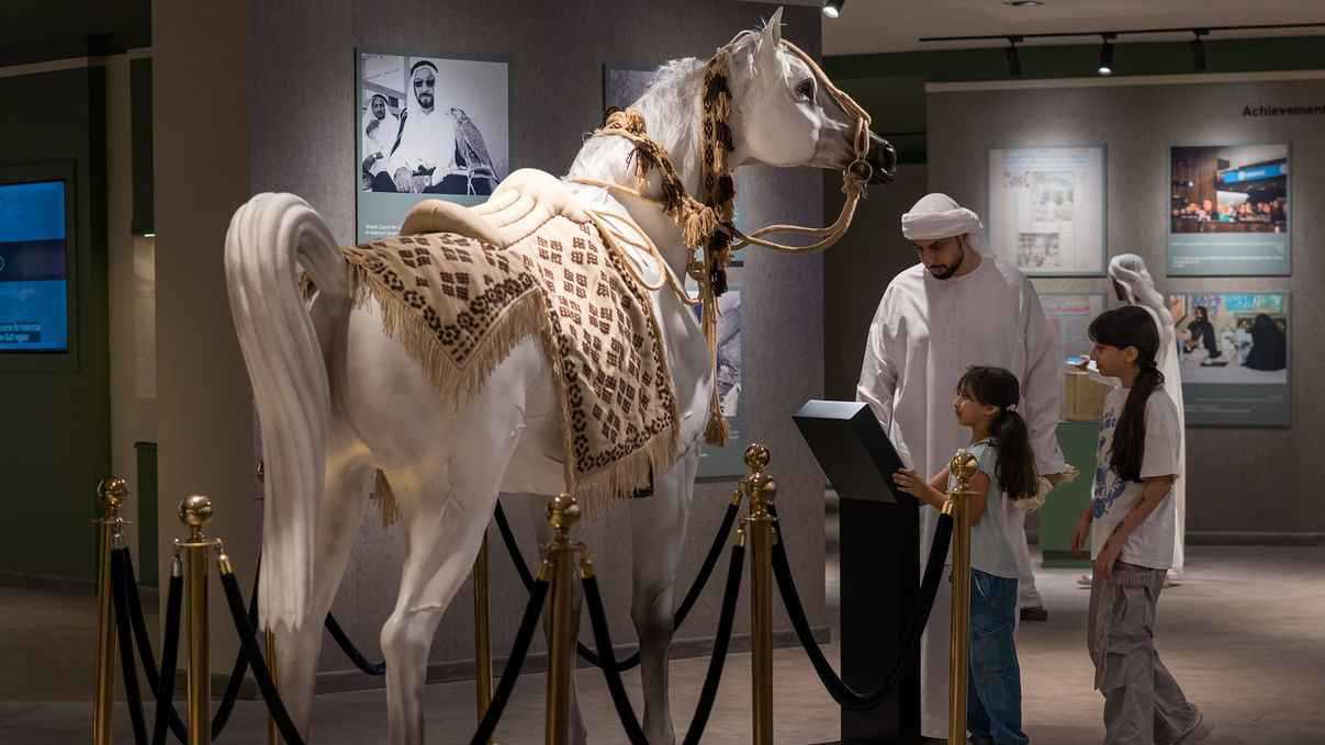 “ركن الخيول” في مهرجان الشيخ زايد يعكس مكانة الفروسية