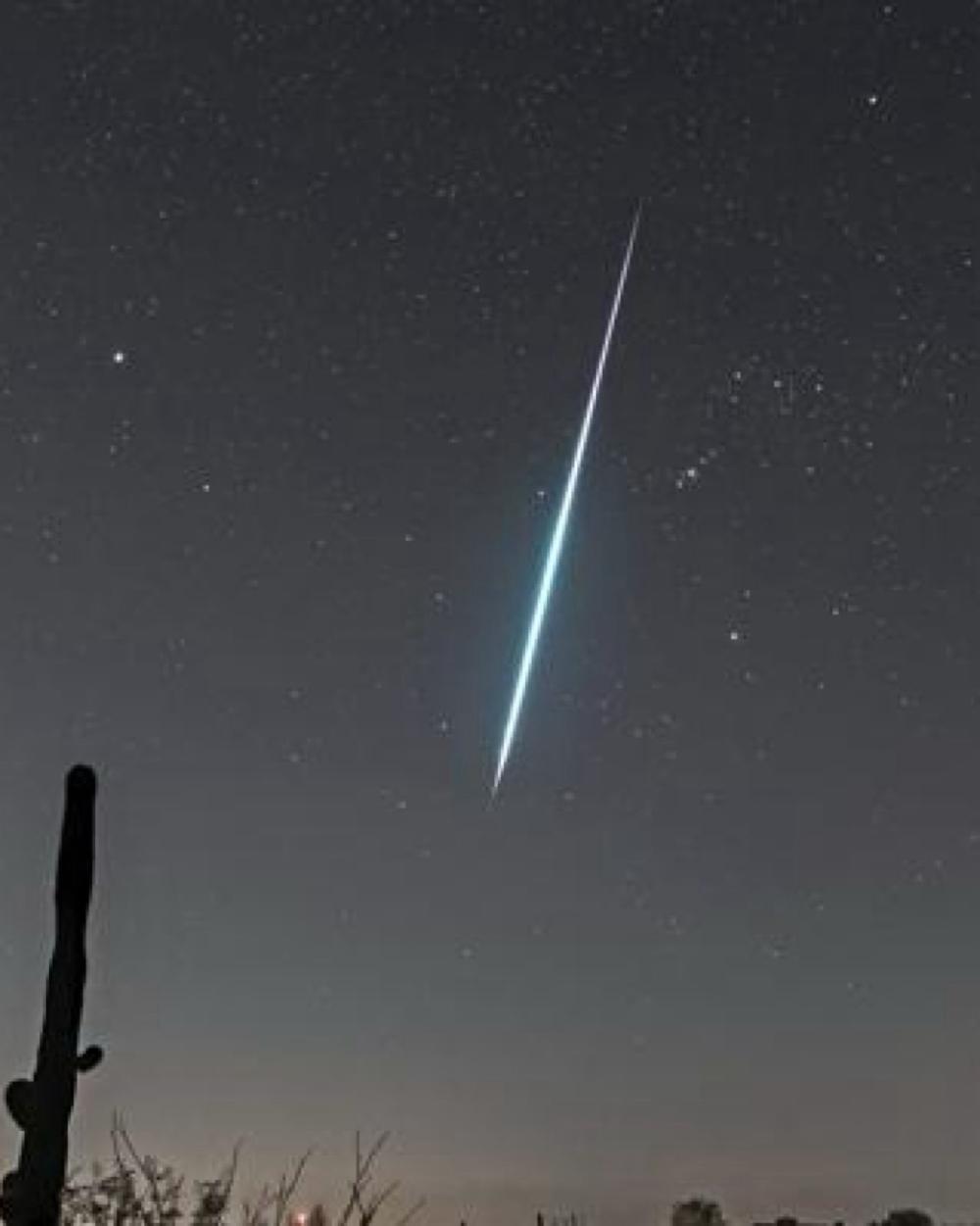 1e253a71 eafb 47c1 a482 4b9d8ed91a98 file.jpg