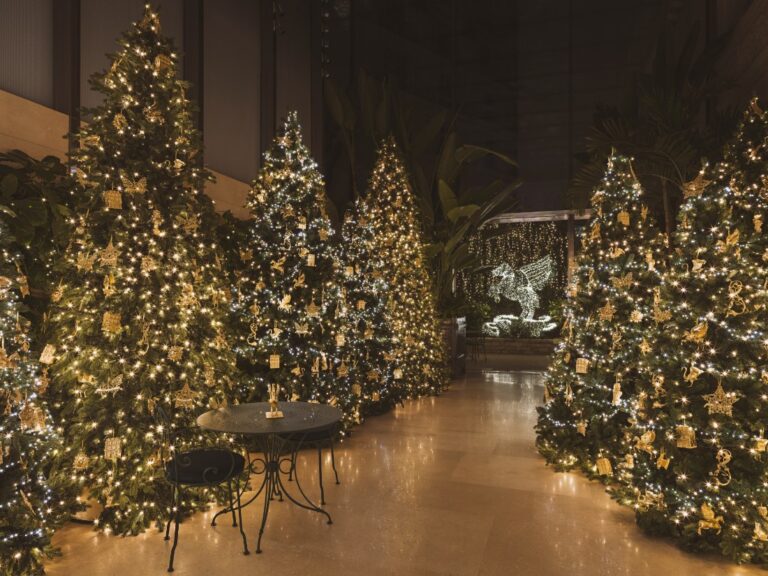 "ديور" تقدّم العنوان الأيقوني 30 Montaigne وديكوره الساحر لموسم الأعياد