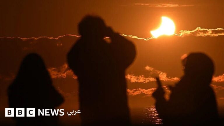 2142d186 6972 4546 8caf 008ddc3fb44a file.jpg