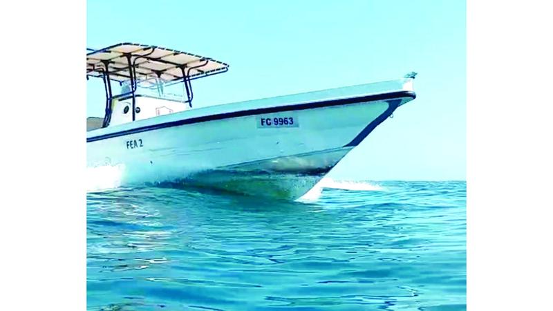 22000699 da91 4b7b ad64 1bf135945b7c file.jpg