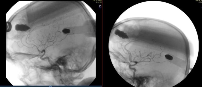 2350592c 073d 4294 8442 aa869c75ee22 file.jpg