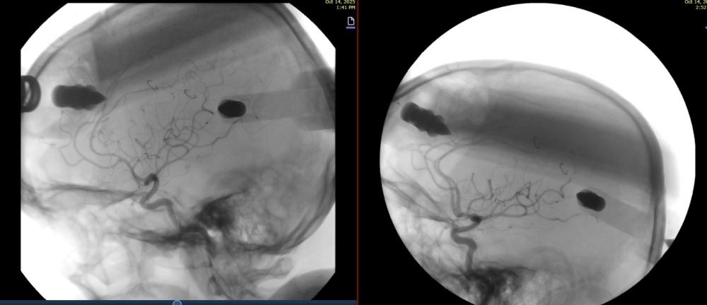 2350592c 073d 4294 8442 aa869c75ee22 file.jpg