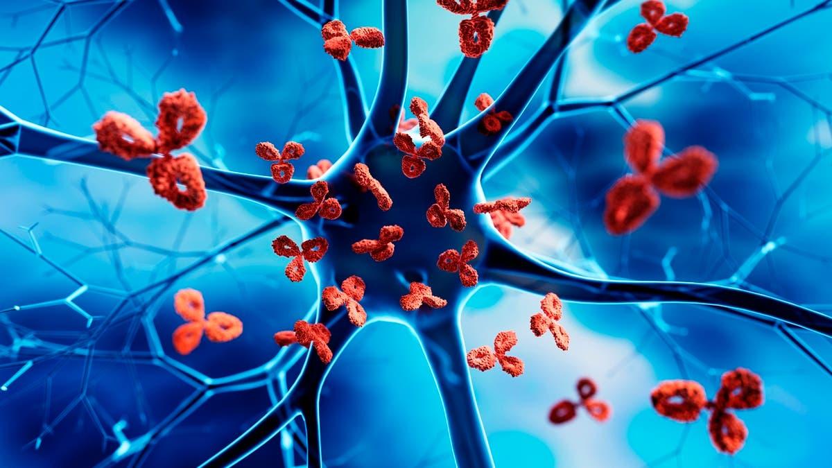 باحثون يجربون نهجاً جديداً لعلاج أمراض المناعة الذاتية بطريقة أفضل