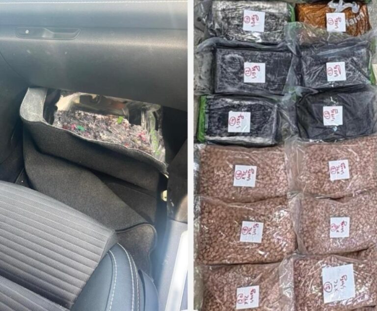 283b1b52 71c7 4936 b66f 3a8d2571ca02 file.jpg