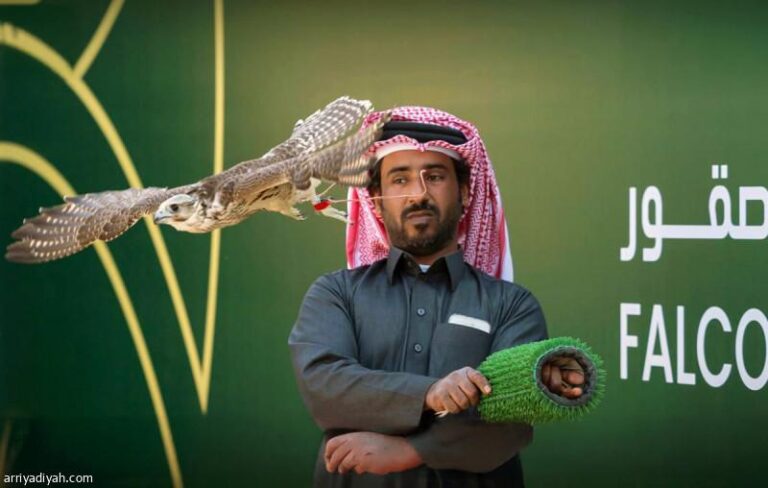 29a026a9 15f9 49da 81a9 7137fb17c2bf file.jpg