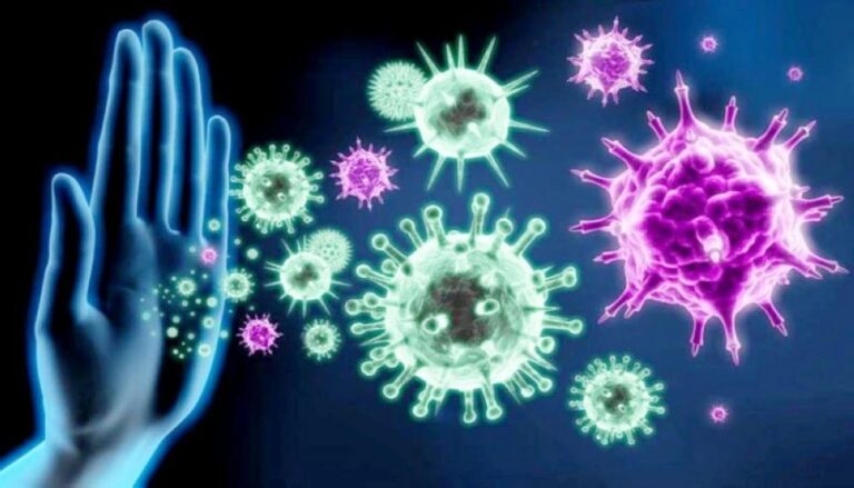 2a4992ce 9361 475a bbf9 4037bc1d62e0 file.jpg