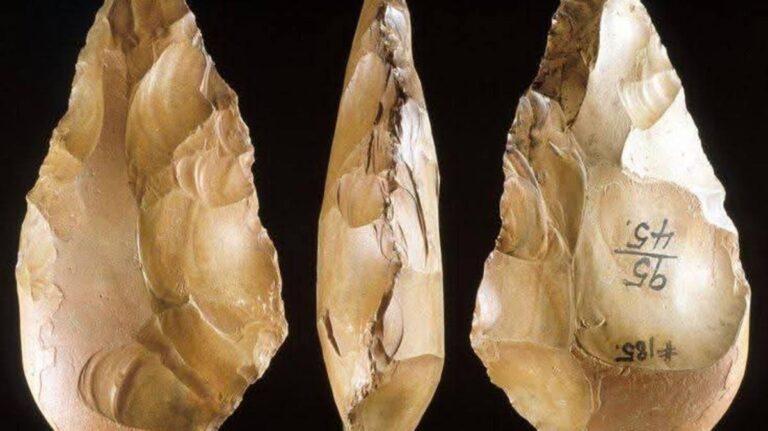 2eae4400 d4ba 4f2e bcec f39063ddc552 file.jpg