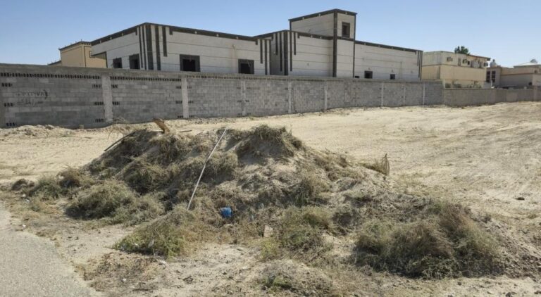 2f94d7b6 73cb 41a1 ae5e 7b42c73c22b6 file.jpg