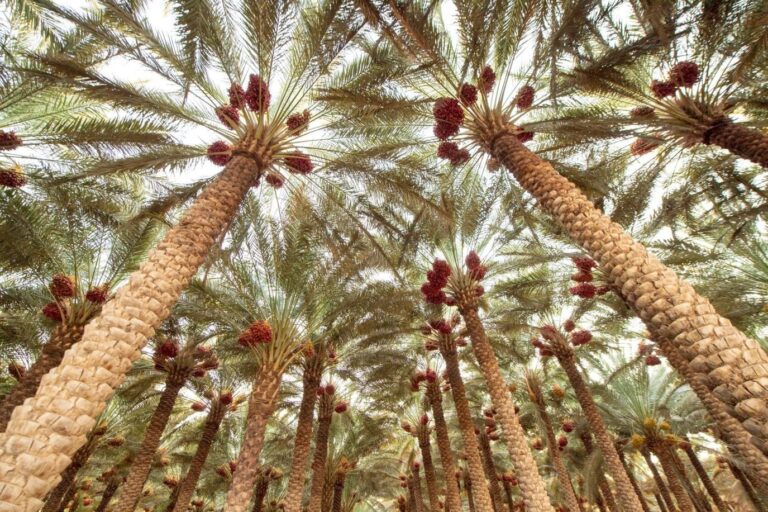 2ff75b54 bb61 4bd3 a12f 4f3d8e333794 file.jpg