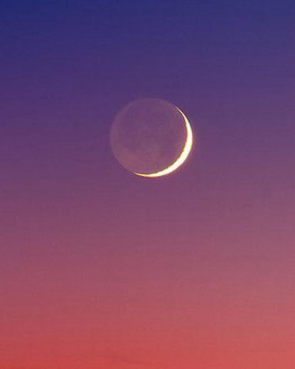 31454850 a90a 49af afc9 8e8651165dc2 file.jpg