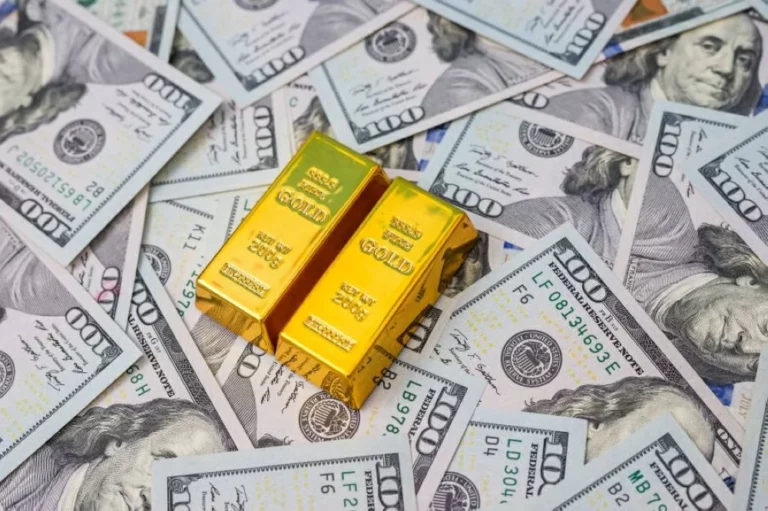 35502623 4064 4115 bb47 6eec8bb584ef file.webp