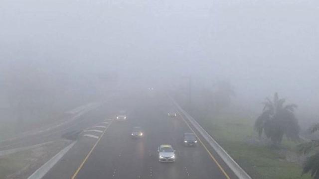 3a0b3529 8609 45da bdaf 5aad3b769968 file.jpg