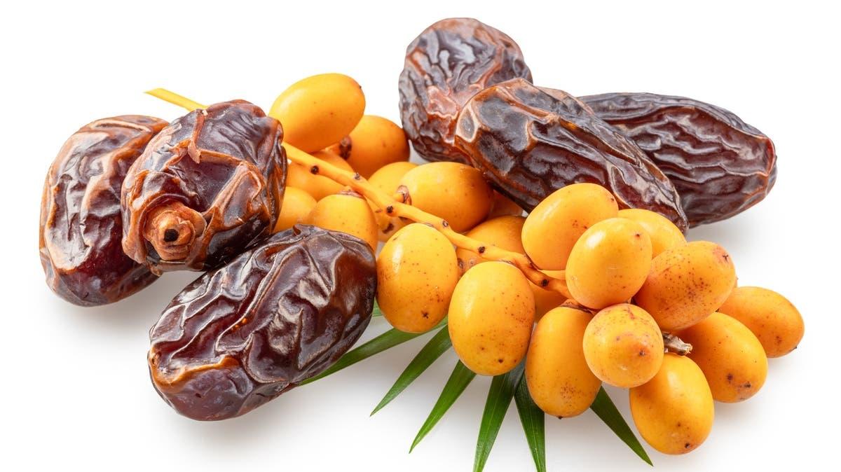 التمر الطازج أم المجفف.. أيهما الأفضل لصحتك؟
