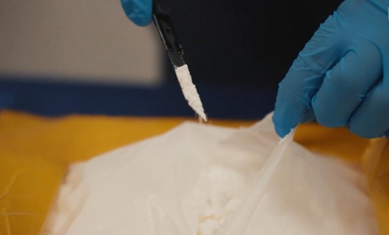 405b8979 272c 4e0a 8b68 c8f504418790 file.jpg